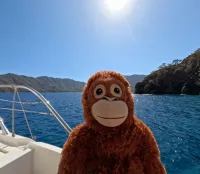 uzio's profile picture