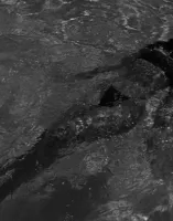 xLxcaa87's profile picture