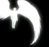 suobota's profile picture