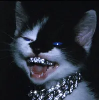 SeaIer's profile picture