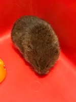 Endless's profile picture