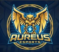 SL33P1N's profile picture