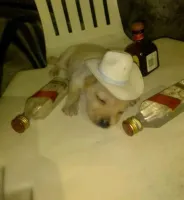 fabLolEz's profile picture