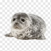 Adzy's profile picture