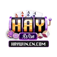 haywincncom's profile picture