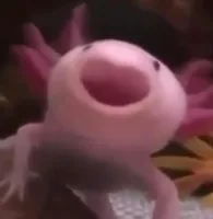 Baileyy.'s profile picture