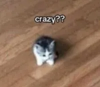 Midtoriouss's profile picture