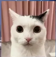 nx.'s profile picture