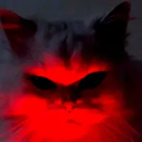 KitKatt's profile picture