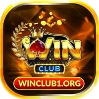 winclub1org's profile picture