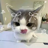 vivi's profile picture