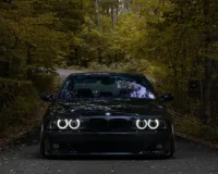 Zoomer's profile picture