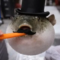TraXxx's profile picture