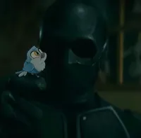 qMxrcZG's profile picture