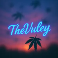Vuley.VRM's profile picture
