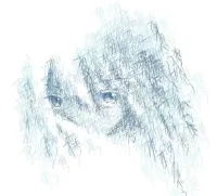 WFE's profile picture