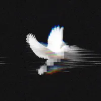 Phinx's profile picture