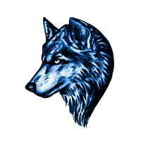 WTnis's profile picture