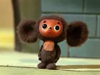 YaelLoga's profile picture