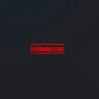 sexbaodamcom's profile picture