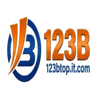 123btopitcom's profile picture