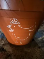 Ahmood's profile picture