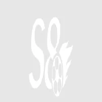 s8s8nl's profile picture