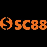 vsc888xcom's profile picture