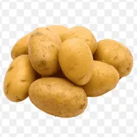 Theo.Turtle's profile picture