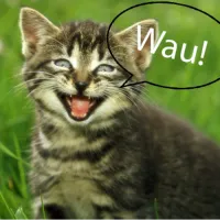 HypedMobber's profile picture