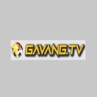 gavangtvwork's profile picture