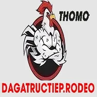 dagatructiepro's profile picture