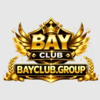 bayclubgroup's profile picture