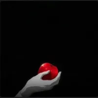 Maxxy's profile picture