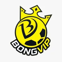 bongvip365net's profile picture