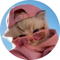 Petyaafn's profile picture
