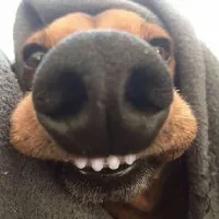 qqyss's profile picture