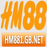 hm881gbnet's profile picture
