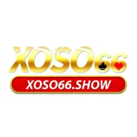 xoso66show's profile picture