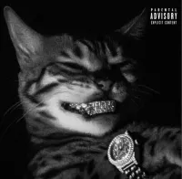 NoahZ.ETM's profile picture