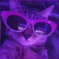 Flux.'s profile picture