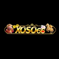 xoso66vns's profile picture