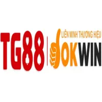 tg88agency's profile picture