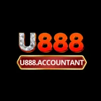u888accountant1's profile picture