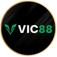 vic88codes's profile picture