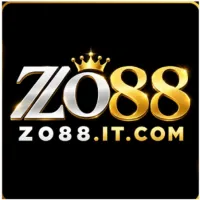 zo88itcom1's profile picture