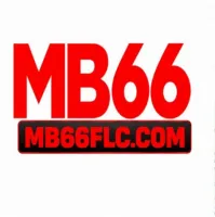 mb66flccom's profile picture