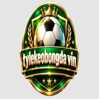 tylekeobongdavin's profile picture