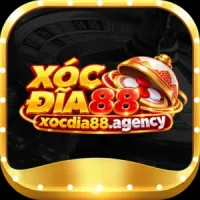 xocdia88agency's profile picture