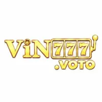 vin777voto's profile picture